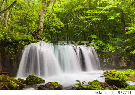 【青森県_奥入瀬渓流_銚子大滝】マイナスイオンたっぷり、気分爽快 【青森県_奥入瀬渓流_銚子大滝】マイナスイオンたっぷり、気分爽快 131927711