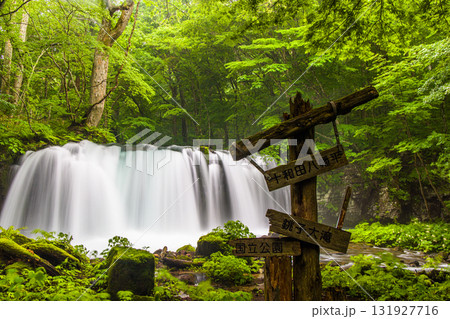 【青森県_奥入瀬渓流_銚子大滝】マイナスイオンたっぷり、気分爽快 【青森県_奥入瀬渓流_銚子大滝】マイナスイオンたっぷり、気分爽快 131927716