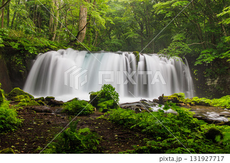 【青森県_奥入瀬渓流_銚子大滝】マイナスイオンたっぷり、気分爽快 【青森県_奥入瀬渓流_銚子大滝】マイナスイオンたっぷり、気分爽快 131927717