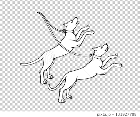 りょうけん座の二頭の犬の線画イラスト 131927789