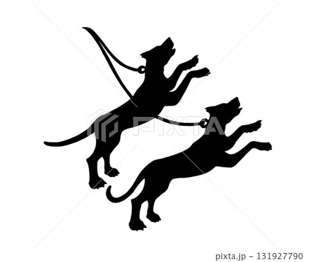 りょうけん座の二頭の犬のシルエットイラスト 131927790