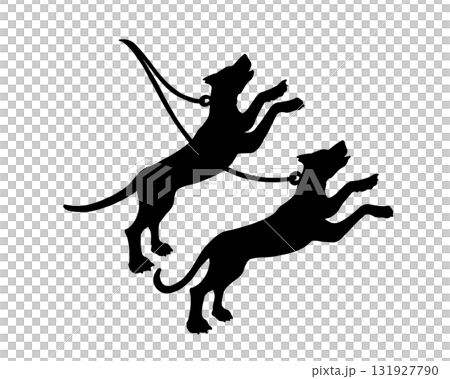 りょうけん座の二頭の犬のシルエットイラスト 131927790
