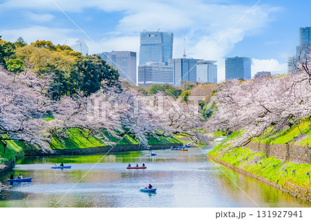 東京 桜満開の千鳥ヶ淵 131927941