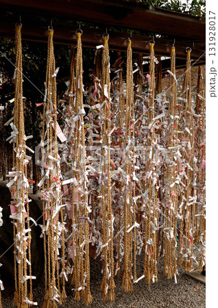 おみくじ 131928017