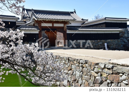 長野県松本市　松本城太鼓門（二の門）と満開桜 131928211