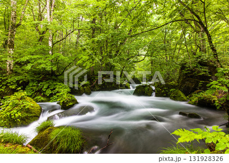 【青森県_奥入瀬渓流_阿修羅の流れ】奥入瀬の中で最も美しい流れ 131928326