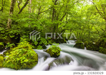 【青森県_奥入瀬渓流_阿修羅の流れ】奥入瀬の中で最も美しい流れ 131928329