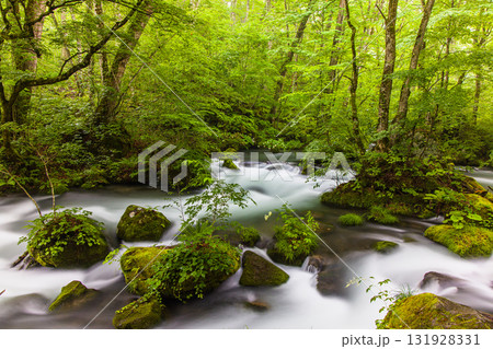 【青森県_奥入瀬渓流_阿修羅の流れ】奥入瀬の中で最も美しい流れ 【青森県_奥入瀬渓流_阿修羅の流れ】奥入瀬の中で最も美しい流れ 131928331