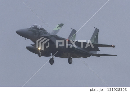 F-15戦闘機（アグレッサー部隊） 131928598