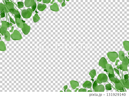 西洋菜的水彩插圖 131929140