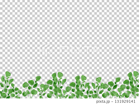 Watercolor illustration of watercress Watercolor illustration of watercress 131929141