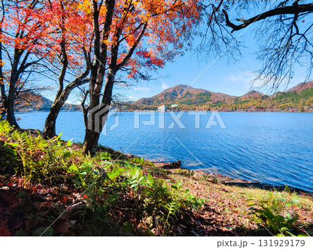 榛名山・榛名湖・掃部ヶ岳（秋） 131929179