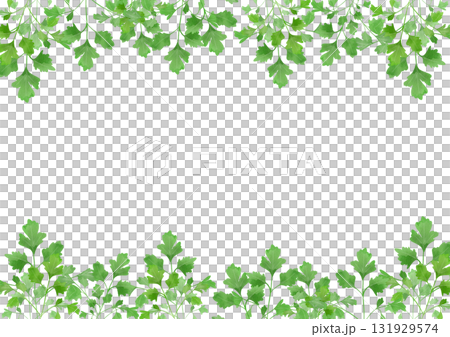Watercolor illustration of Italian parsley 131929574