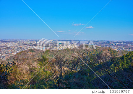 東京都八王子市高尾町(高尾山)の金比羅台園地から東側の眺望(八王子市街,都心方面) 131929797