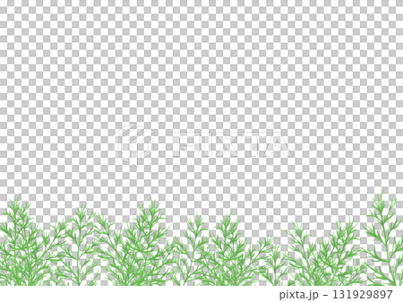 Watercolor illustration of dill Watercolor illustration of dill 131929897