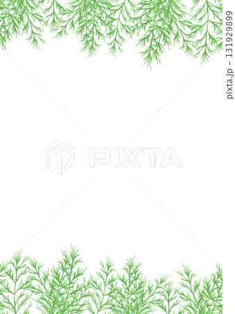 水彩風に描いたディルのイラスト 131929899