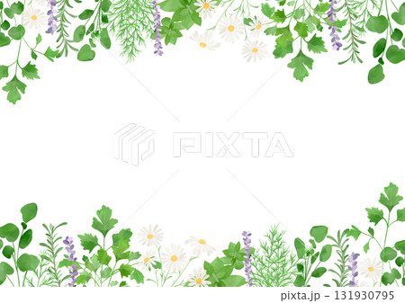 水彩風に描いたハーブのイラスト 水彩風に描いたハーブのイラスト 131930795
