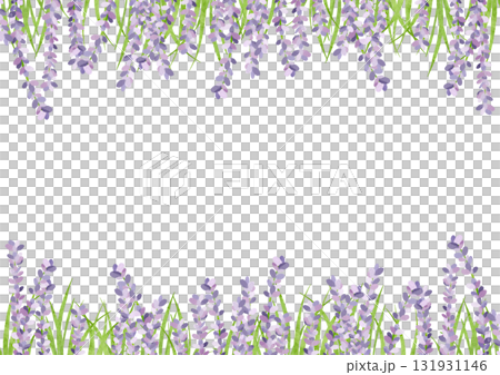 薰衣草的水彩插圖 131931146