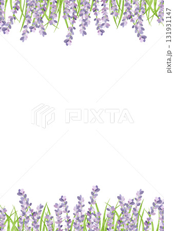 水彩風に描いたラベンダーのイラスト 水彩風に描いたラベンダーのイラスト 131931147