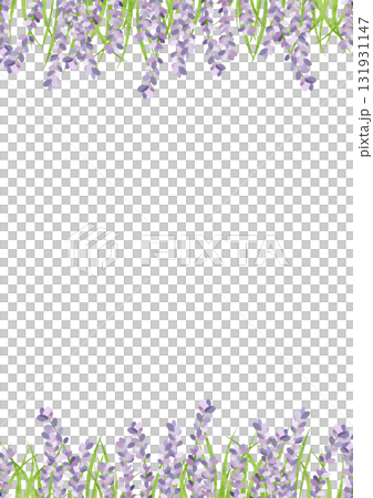 水彩風に描いたラベンダーのイラスト 水彩風に描いたラベンダーのイラスト 131931147