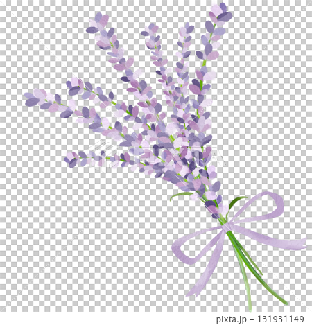 薰衣草花束的水彩插圖 131931149