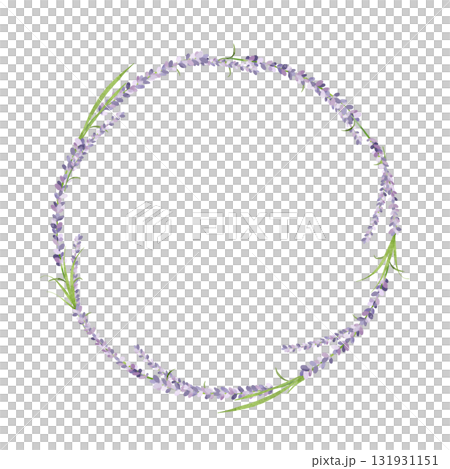 Watercolor illustration of lavender Watercolor illustration of lavender 131931151