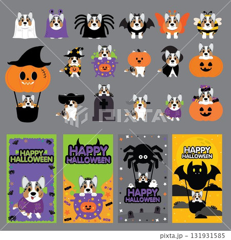 Corgi halloween 131931585