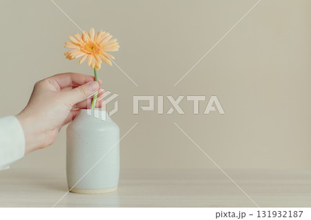ガーベラの花を花瓶に挿す手元 ガーベラの花を花瓶に挿す手元 131932187
