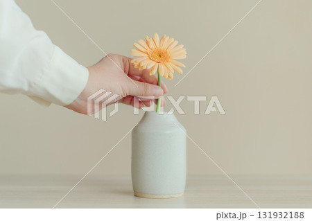 ガーベラの花を花瓶に挿す手元 ガーベラの花を花瓶に挿す手元 131932188