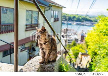 《広島県》尾道・坂の街の風景 131932778