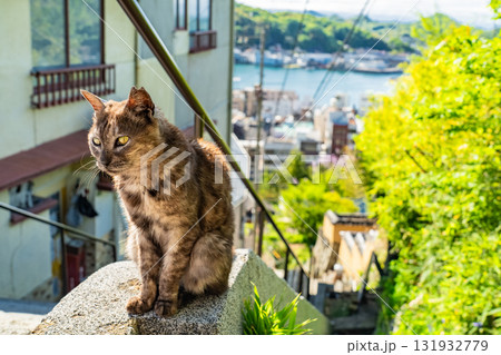 《広島県》尾道・坂の街の風景 131932779
