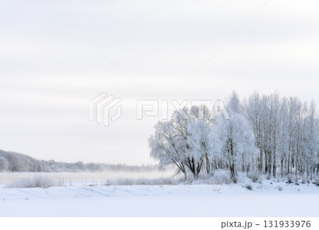 Winter landscape on the coast of the Volkhov River, the main river in our city Winter landscape on the coast of the Volkhov River, the main river in our city 131933976