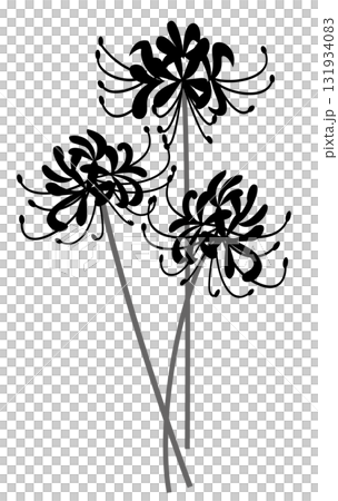 シンプルなお彼岸の彼岸花 シンプルなお彼岸の彼岸花 131934083