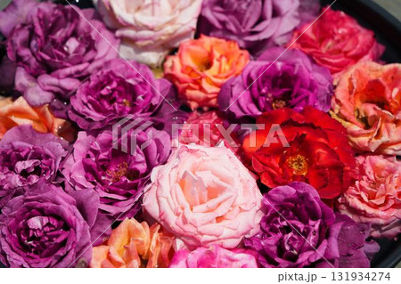 水面に浮かぶバラの花	 131934274