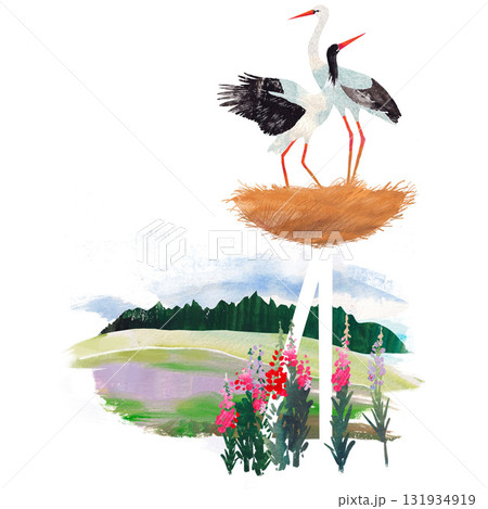 Watercolor illustration of two storks standing together. Romantic hand-painted bird couple perfect for wedding themes, nursery prints, nature decor, or spring-themed designs. 131934919