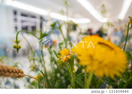 Yellow flowers, possibly marigolds, in sharp focus with a blurred indoor background featuring bright, modern lighting and a bustling atmosphere. Yellow flowers, possibly marigolds, in sharp focus with a blurred indoor background featuring bright, modern lighting and a bustling atmosphere. 131934944