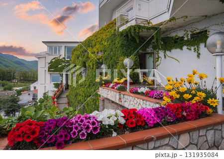 A vibrant terrace with red, pink, white, and yellow flowers, lush greenery on a white building, and rolling hills under a pastel sunset in Amalfi, Italy. A vibrant terrace with red, pink, white, and yellow flowers, lush greenery on a white building, and rolling hills under a pastel sunset in Amalfi, Italy. 131935084