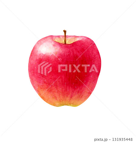 りんご 果物 水彩 イラスト りんご 果物 水彩 イラスト 131935448
