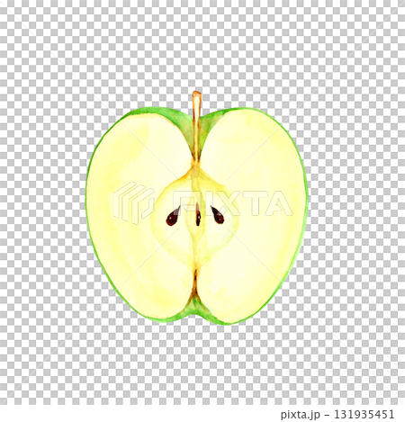 Green apple fruit cross section watercolor illustration 131935451