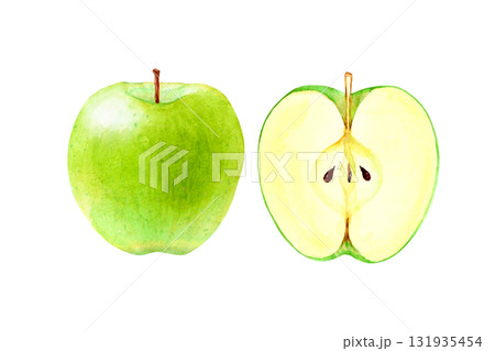 青りんご 果物 断面 水彩 イラスト 青りんご 果物 断面 水彩 イラスト 131935454
