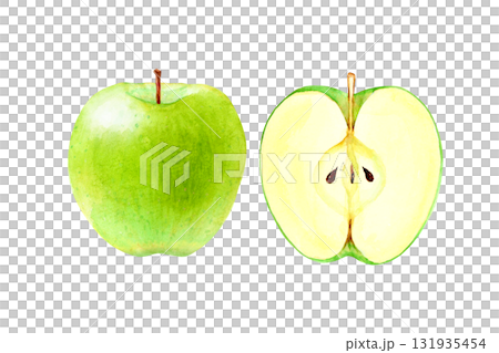 青りんご 果物 断面 水彩 イラスト 青りんご 果物 断面 水彩 イラスト 131935454