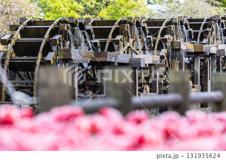 【富山県】砺波チューリップ公園  水車とチューリップ 131935624