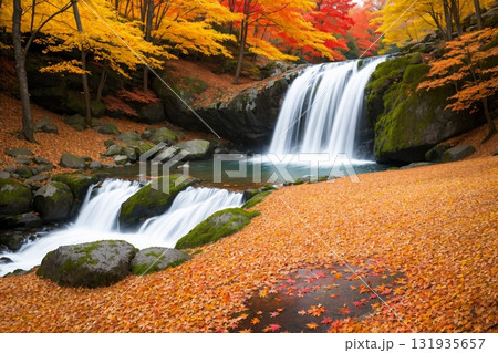 鮮やかな紅葉に囲まれた清流の滝 131935657