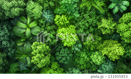 Abstract Forest Background. An aerial view of a dense forest canopy. AI Generated. 131935853