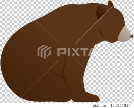 坐著的熊的側視圖 131935984