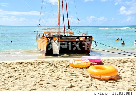 ハワイの休日 131935991