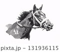 競走馬 131936115