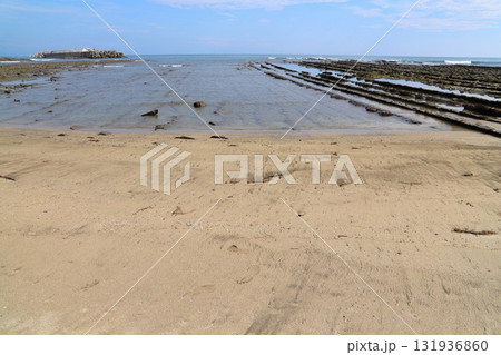 青島の海岸　空 131936860