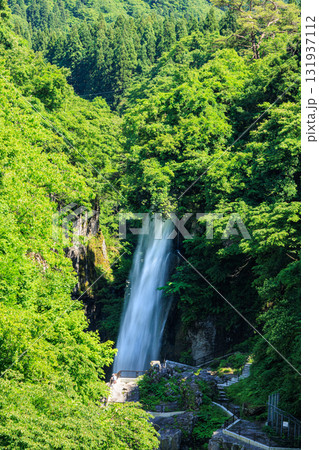 【石川県】白山手取川ジオパーク『綿ヶ滝』【縦写真】 131937112