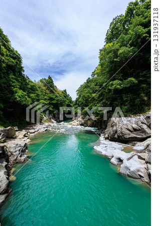 【石川県】白山手取川ジオパーク『綿ヶ滝』【縦写真】 131937118